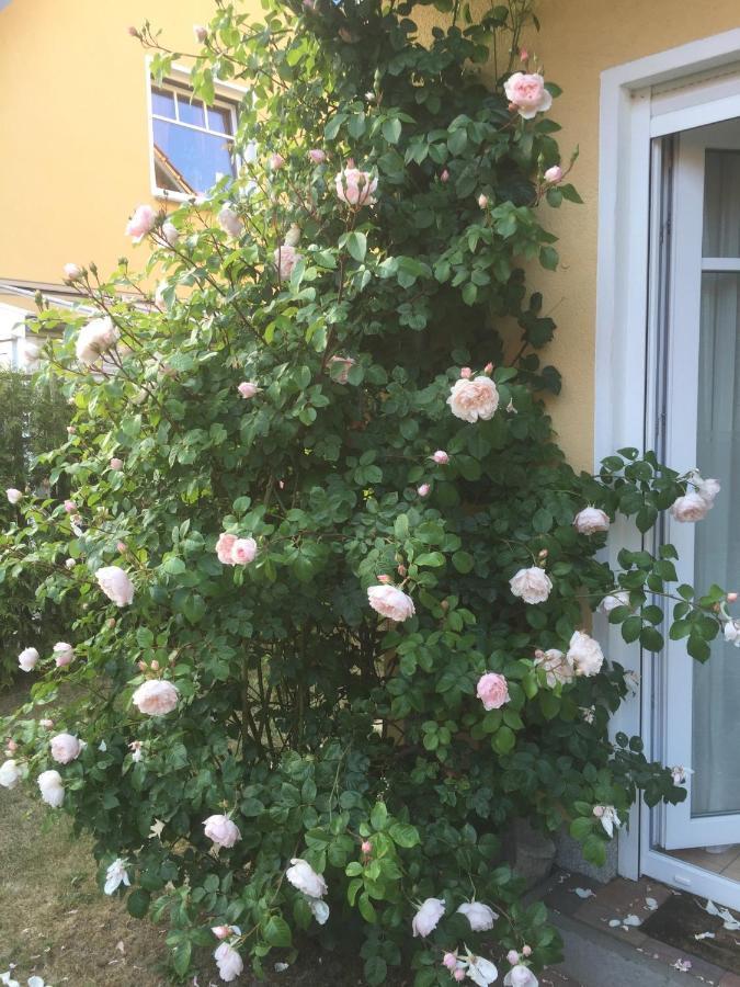 Holiday home Meeresbrise Graal-Mueritz